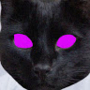 Meet your Posher, Goose